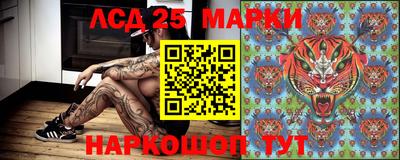 прущие грибы Обь