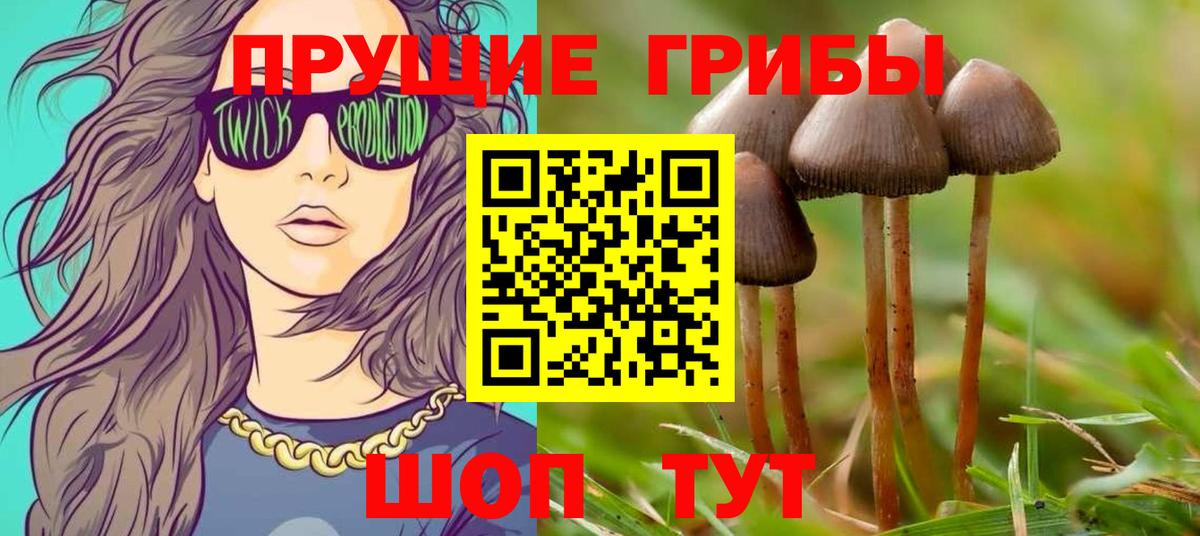 Псилоцибиновые грибы ЛСД  Вход с VPN  Торжок  Галлюциногенные грибы Psilocybe 
