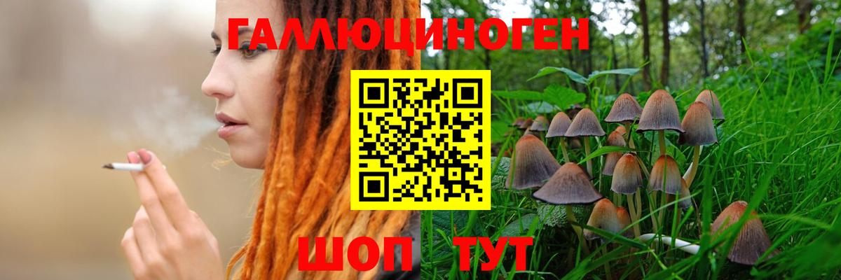 Галлюциногенные грибы MAGIC MUSHROOMS Торжок